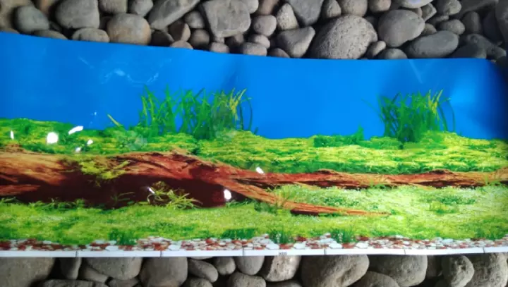 Detail Background Aquarium Batu Alam Nomer 38