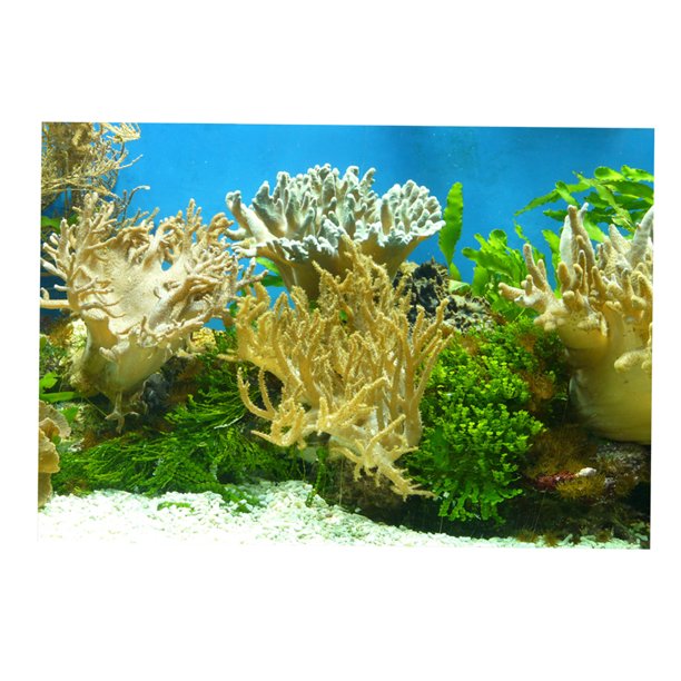 Detail Background Aquarium Batu Alam Nomer 53