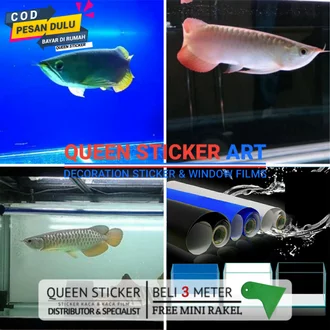 Detail Background Aquarium Biru Nomer 17