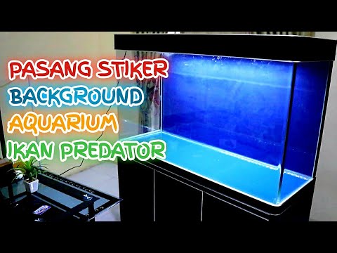 Detail Background Aquarium Biru Nomer 22