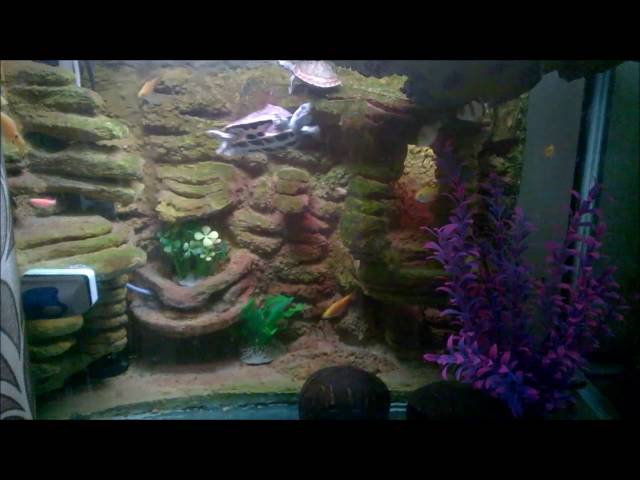 Detail Background Aquarium Dari Styrofoam Nomer 16