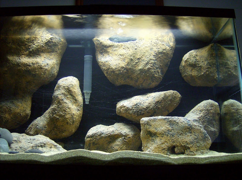 Detail Background Aquarium Dari Styrofoam Nomer 6