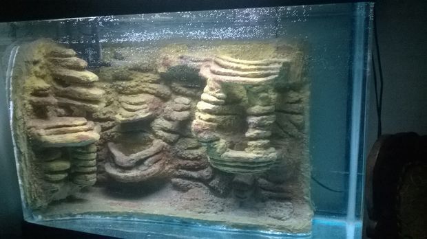 Detail Background Aquarium Dari Styrofoam Nomer 45