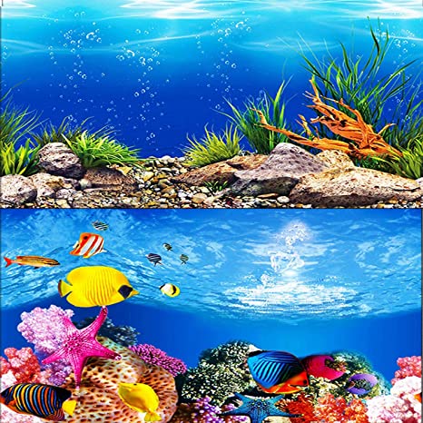 Detail Background Aquarium Hd Nomer 11