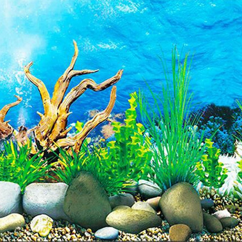 Detail Background Aquarium Hd Nomer 32