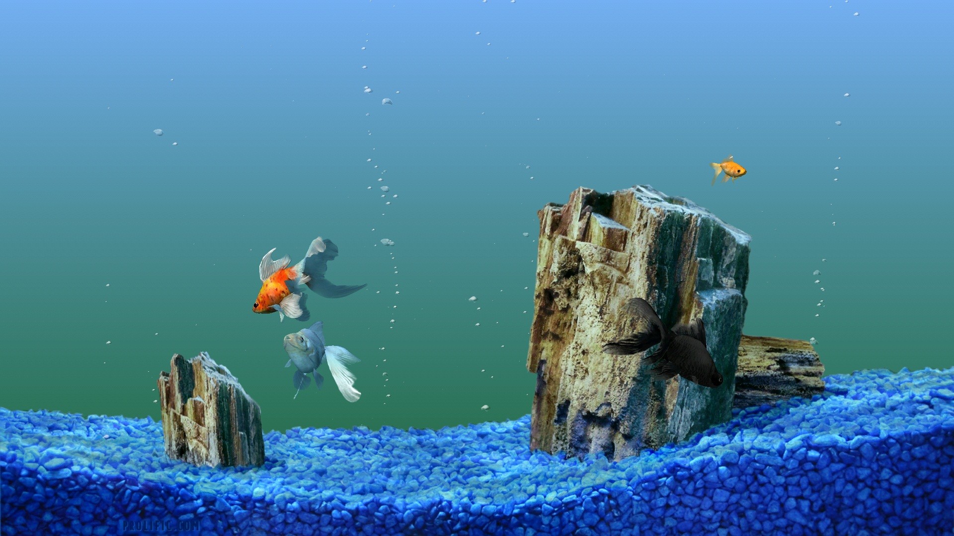 Detail Background Aquarium Hd Nomer 53