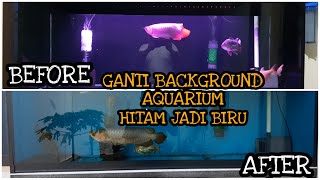 Detail Background Aquarium Hitam Nomer 9