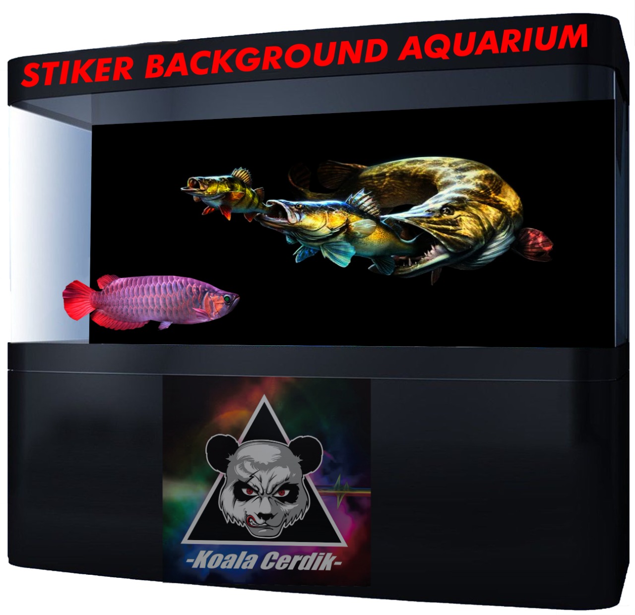 Background Aquarium Ikan Predator - KibrisPDR