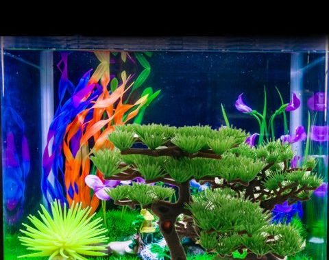 Detail Background Aquarium Ikan Predator Nomer 34