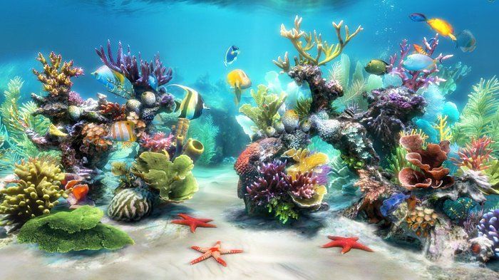 Detail Background Aquarium Laut Nomer 11