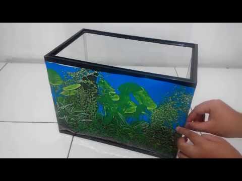 Detail Background Aquarium Laut Nomer 15