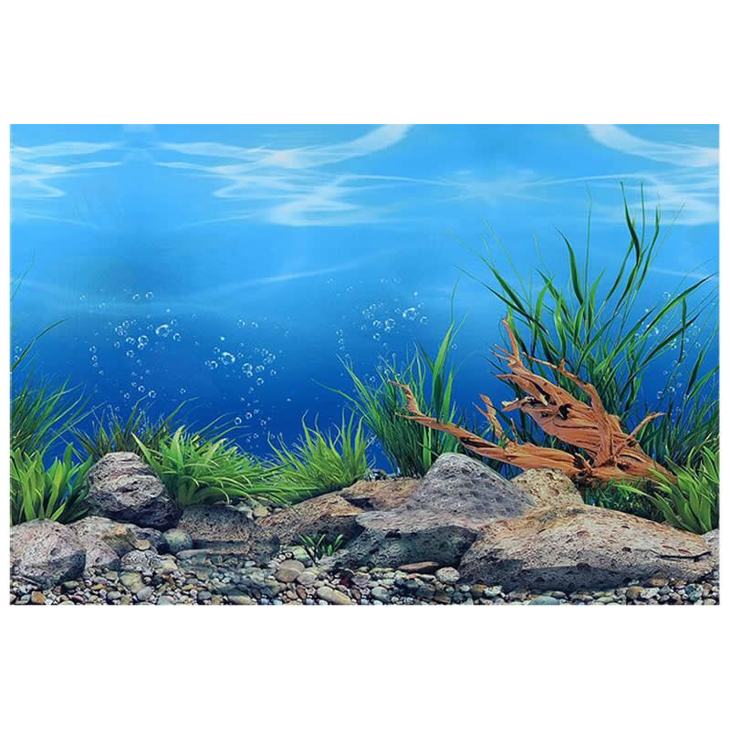 Detail Background Aquarium Laut Nomer 18