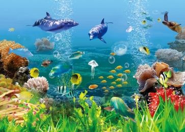 Detail Background Aquarium Laut Nomer 22