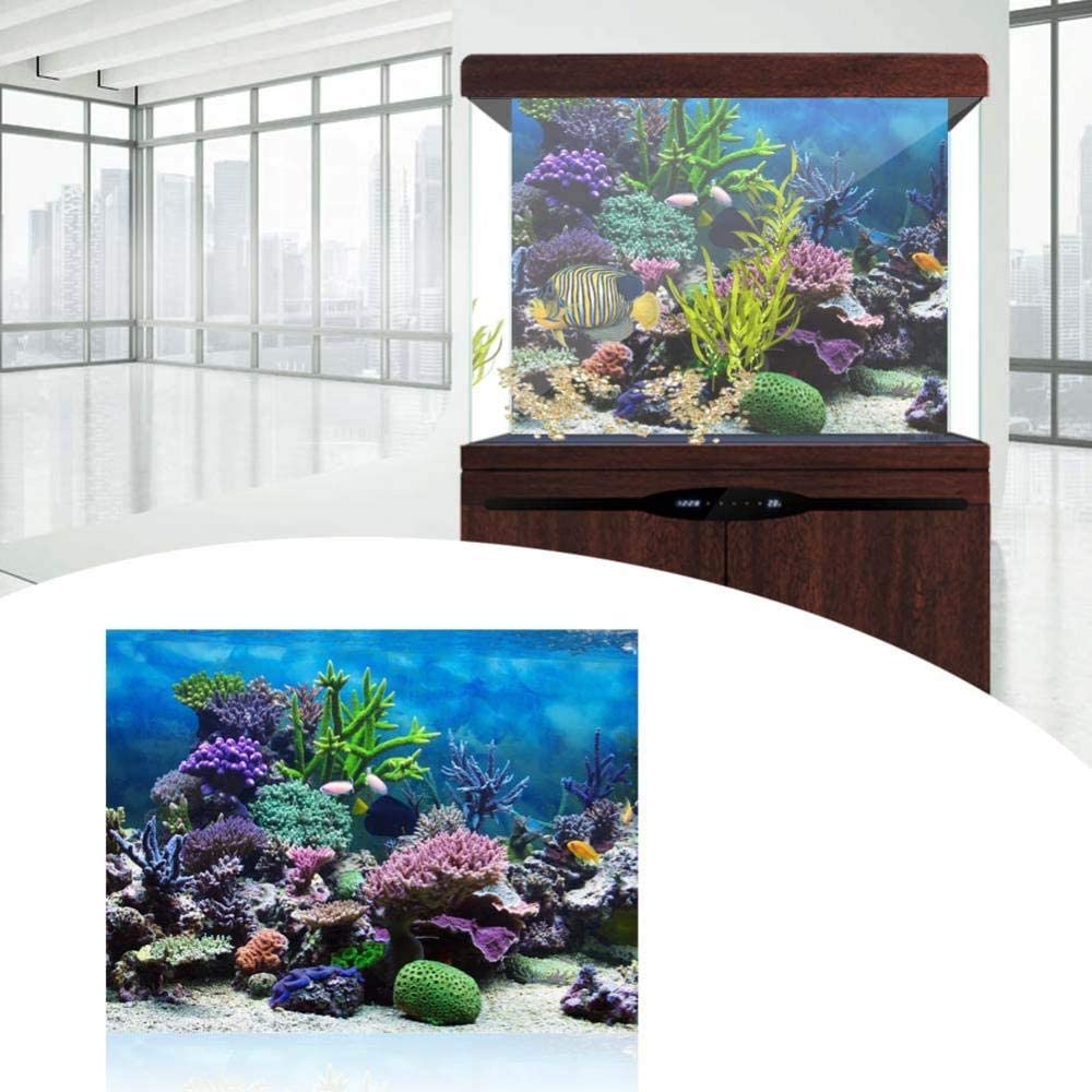 Detail Background Aquarium Laut Nomer 29