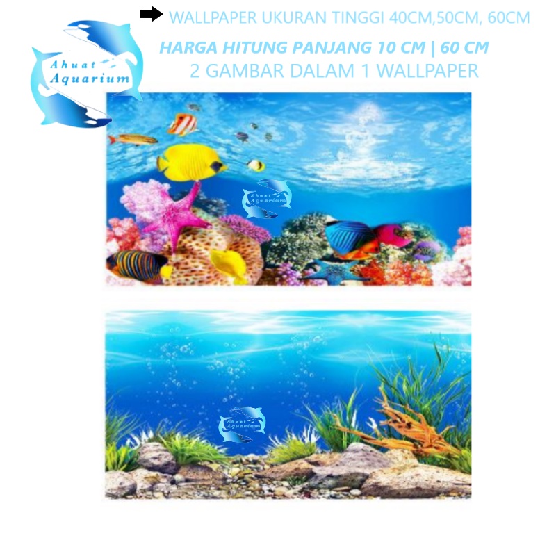 Detail Background Aquarium Laut Nomer 31