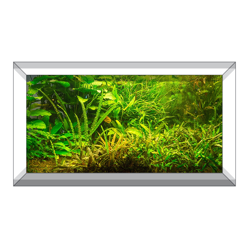 Detail Background Aquarium Plants Nomer 4