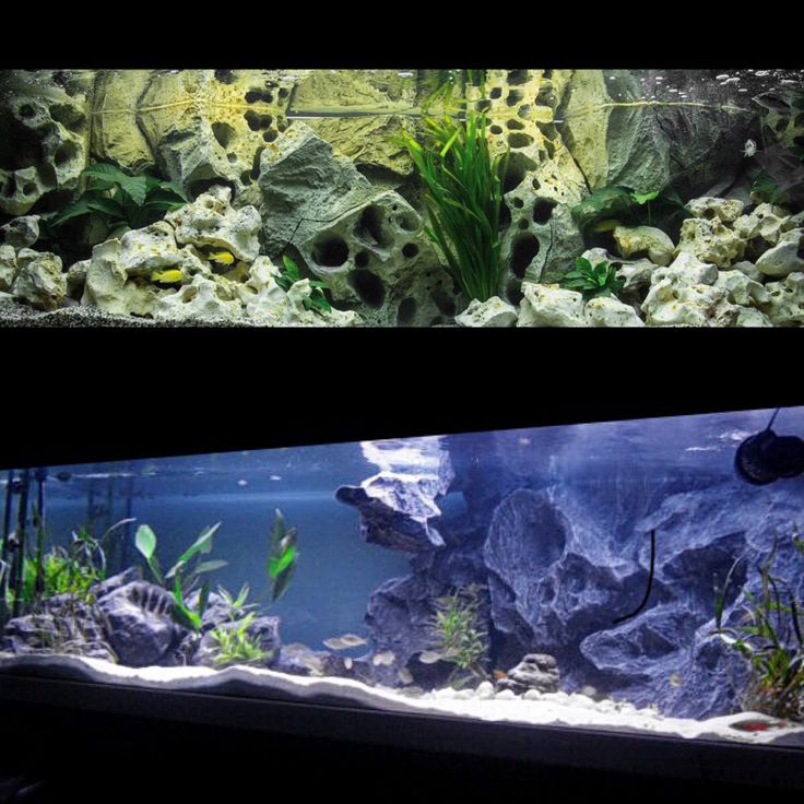 Detail Background Aquascape 3d Nomer 15