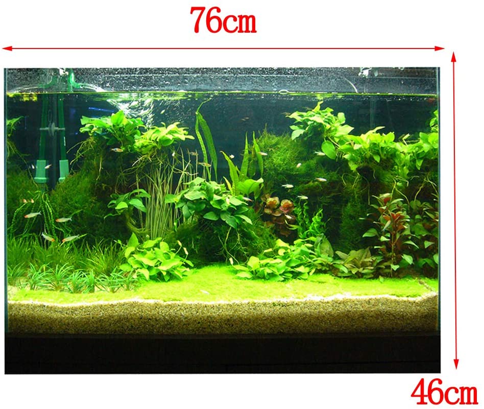 Detail Background Aquascape 3d Nomer 35