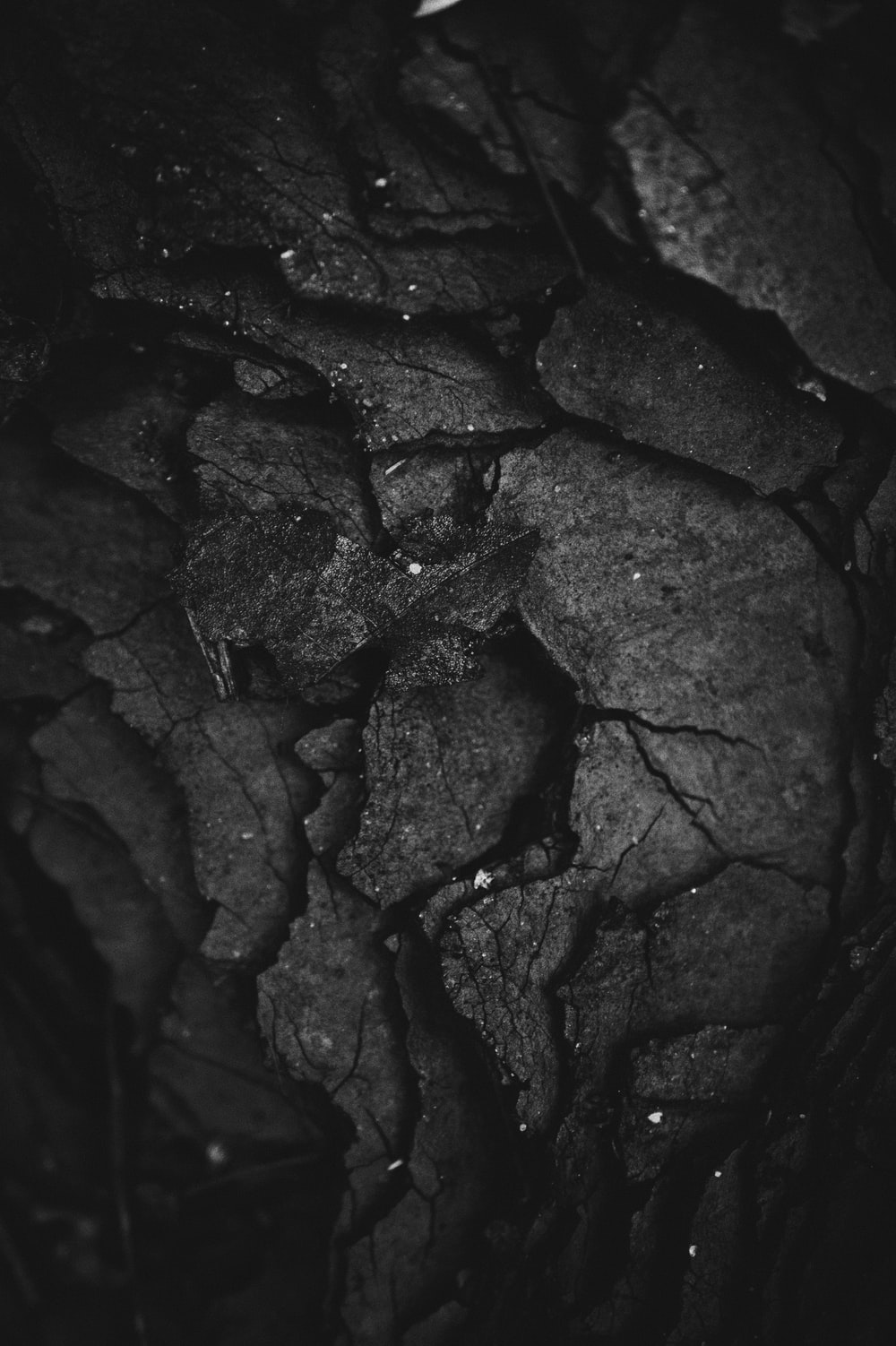 Detail Background Art Design Black Nomer 44