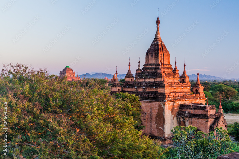 Detail Background Bagan Nomer 47
