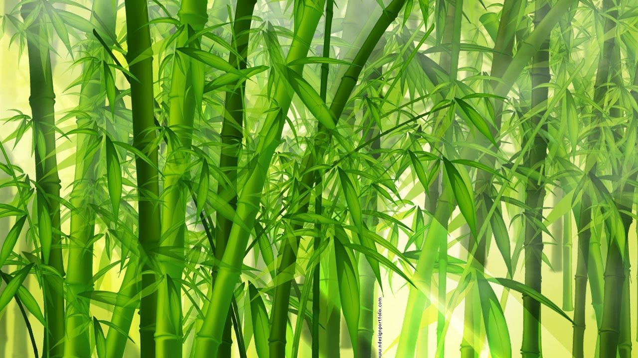 Detail Background Bambu Nomer 18