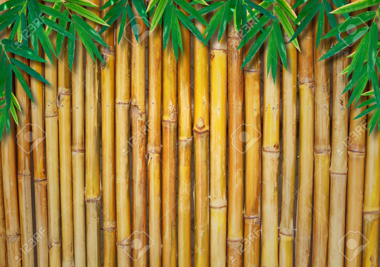 Detail Background Bambu Nomer 3