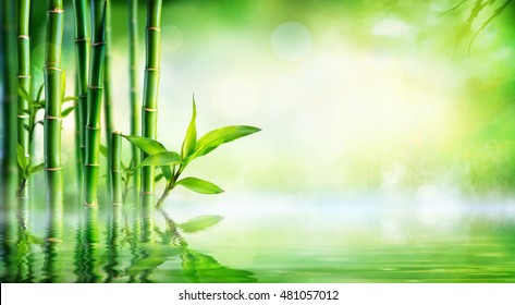 Detail Background Bambu Nomer 32