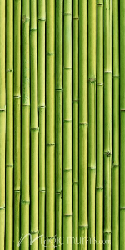 Detail Background Bambu Nomer 37