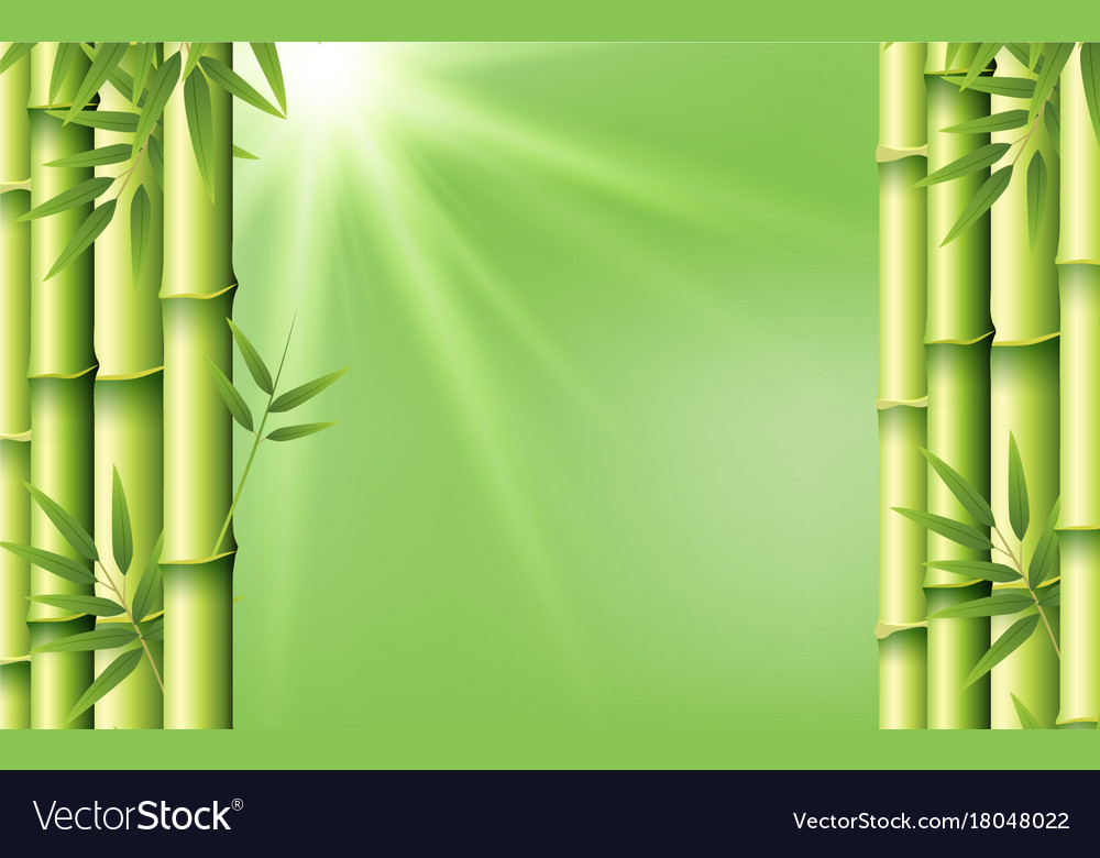 Detail Background Bambu Nomer 5