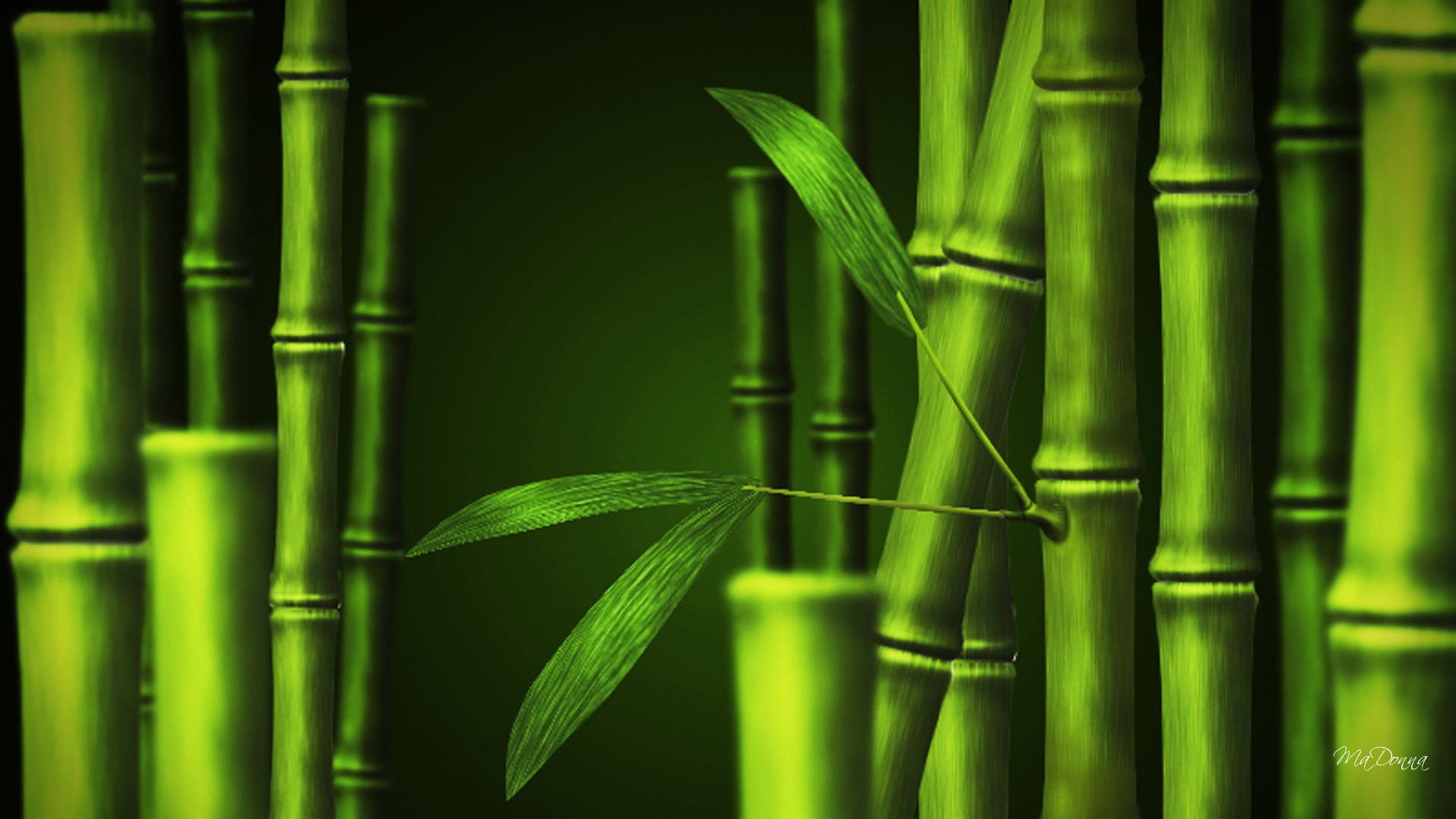 Detail Background Bambu Hd Nomer 22