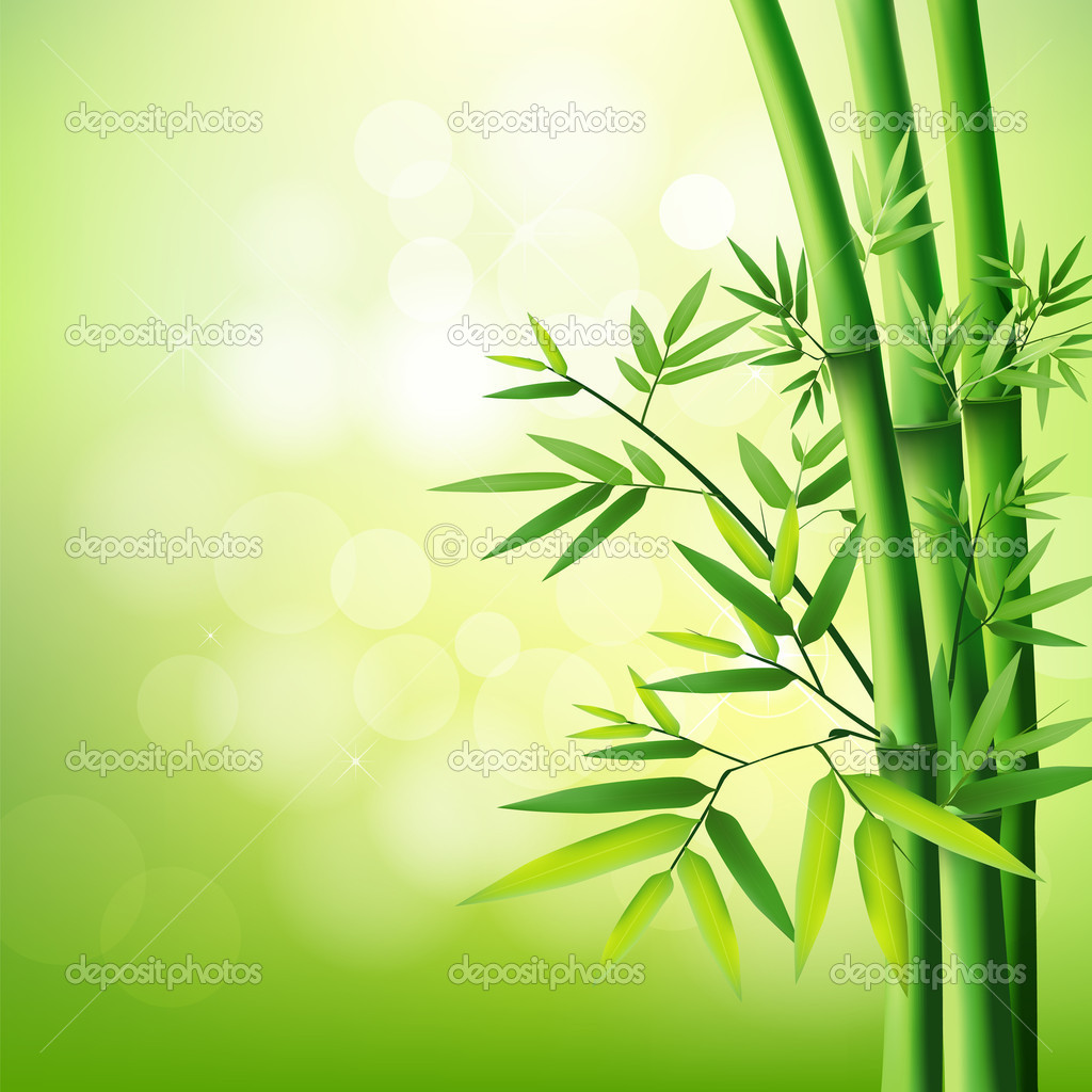 Detail Background Bambu Hijau Nomer 16