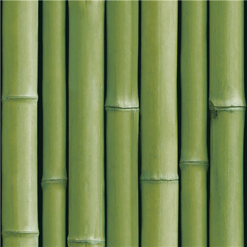 Detail Background Bambu Hijau Nomer 22