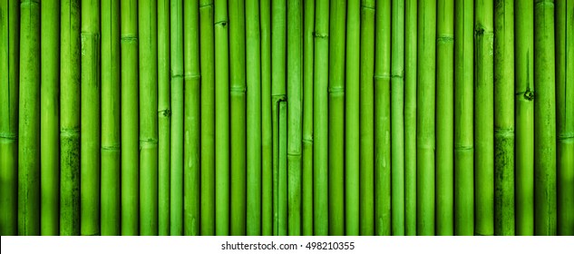 Detail Background Bambu Hijau Nomer 4