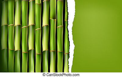 Detail Background Bambu Hijau Nomer 41