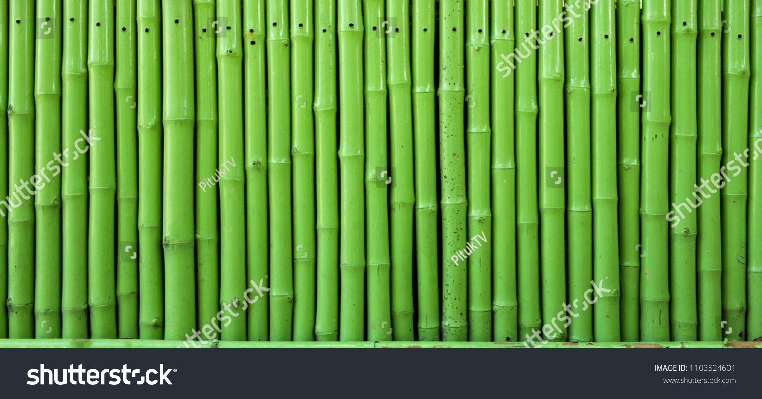 Detail Background Bambu Hijau Nomer 57