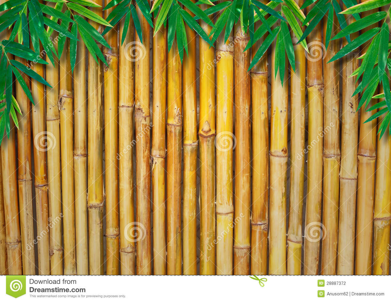 Background Bambu Keren - KibrisPDR