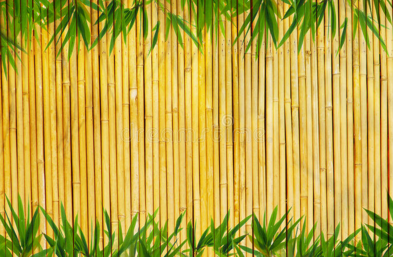 Detail Background Bambu Keren Nomer 27