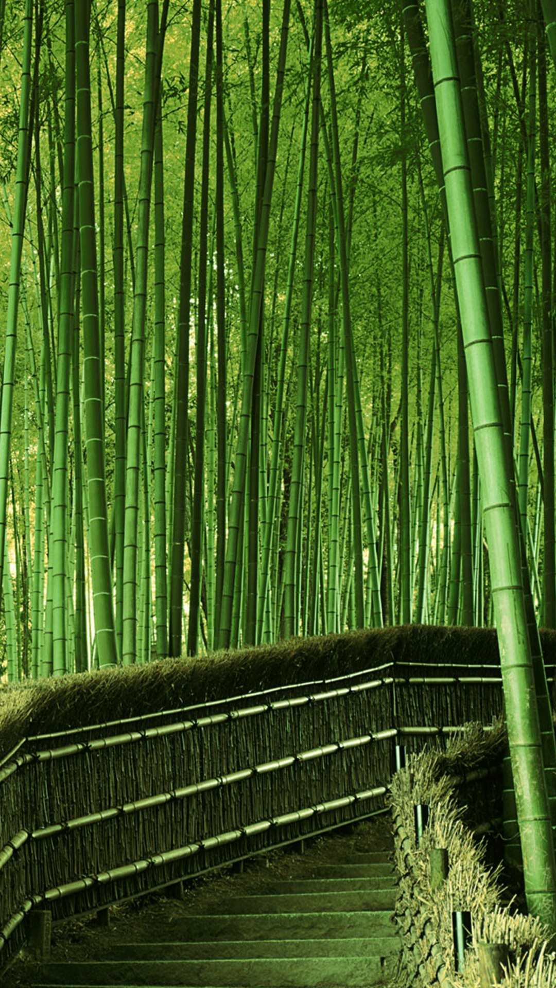 Detail Background Bambu Keren Nomer 37