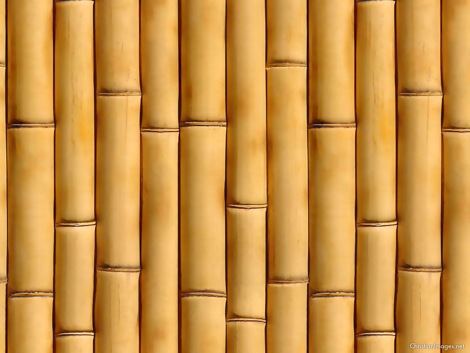 Detail Background Bambu Keren Nomer 8