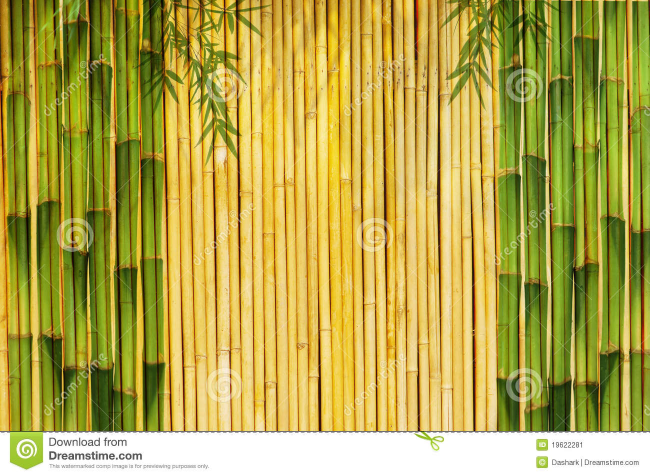 Detail Background Bambu Kuning Nomer 10