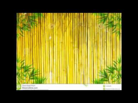 Detail Background Bambu Kuning Nomer 23