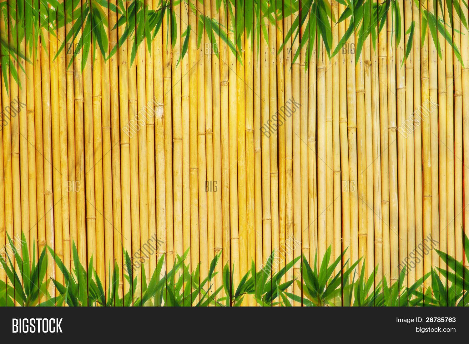 Detail Background Bambu Kuning Nomer 32