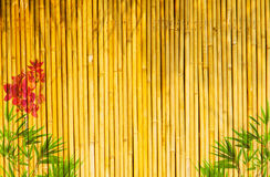 Detail Background Bambu Kuning Nomer 33