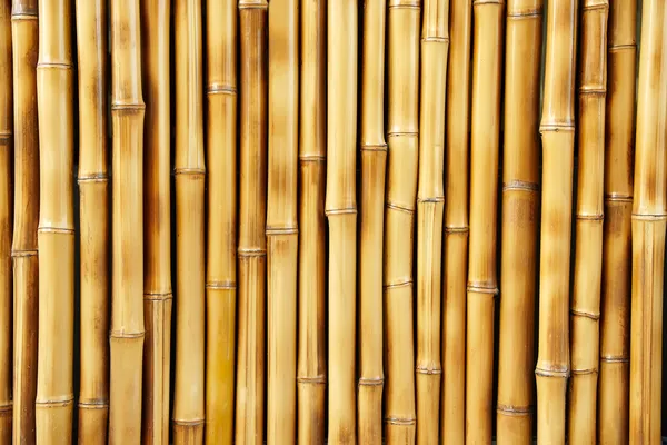 Detail Background Bambu Kuning Nomer 36