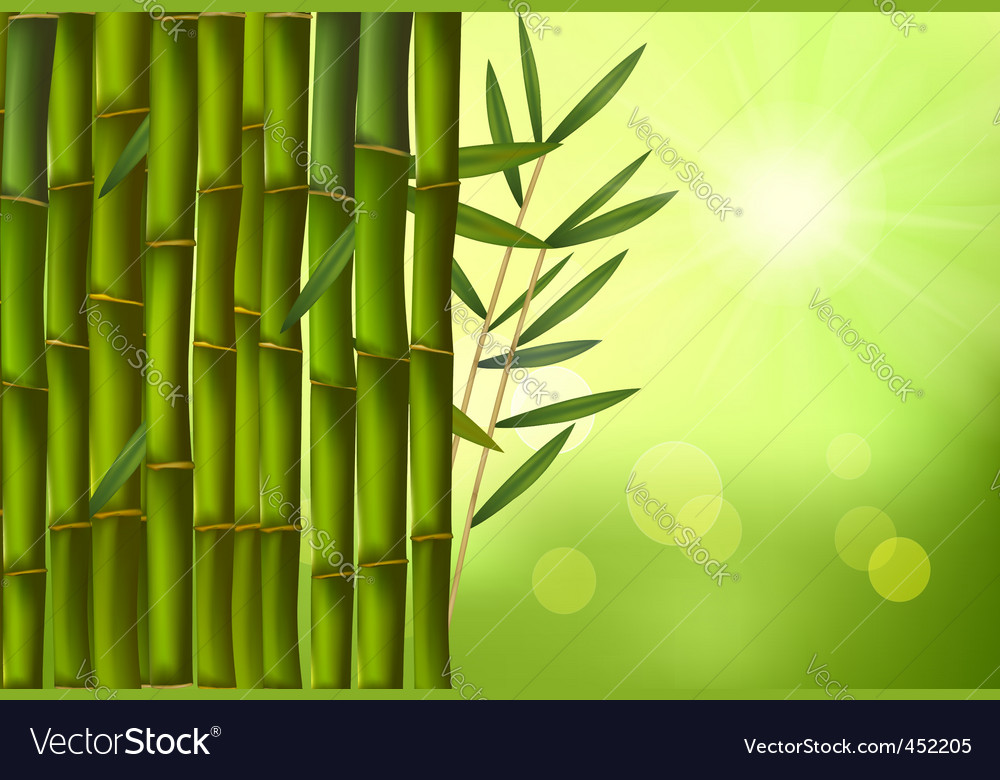Detail Background Bambu Vector Nomer 12