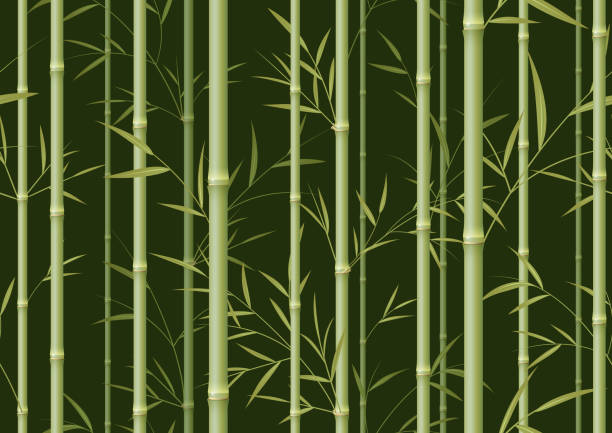 Detail Background Bambu Vector Nomer 14