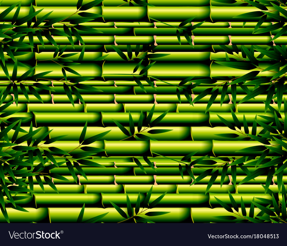 Detail Background Bambu Vector Nomer 15