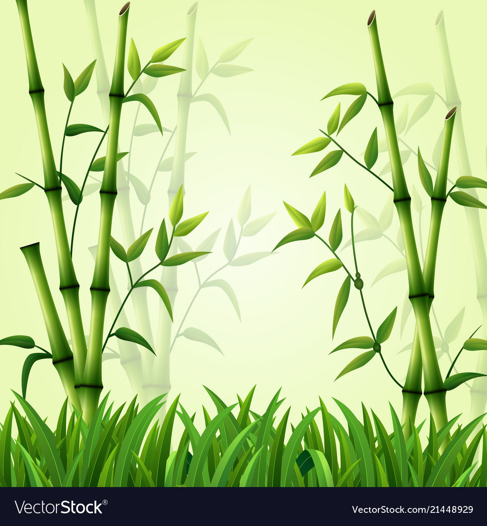 Detail Background Bambu Vector Nomer 17