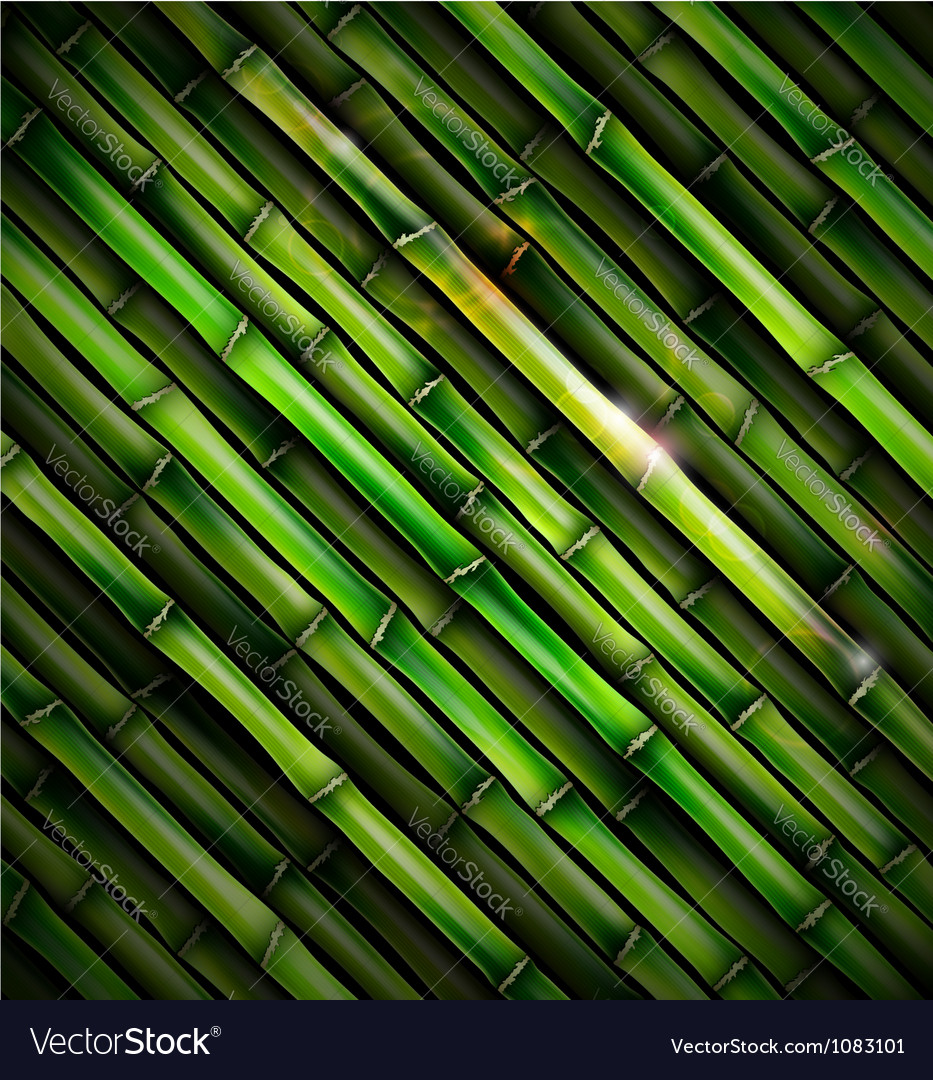 Detail Background Bambu Vector Nomer 20
