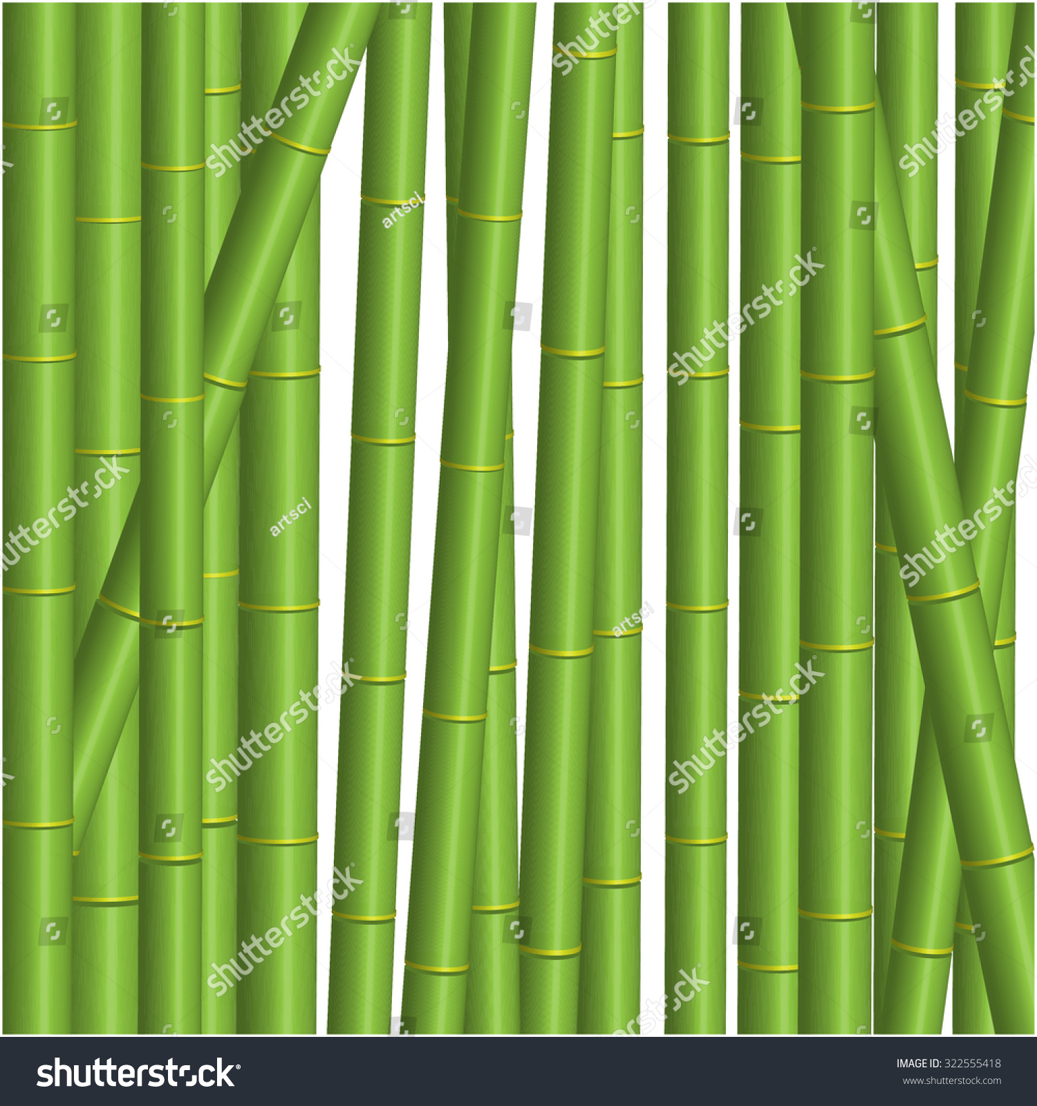 Detail Background Bambu Vector Nomer 22